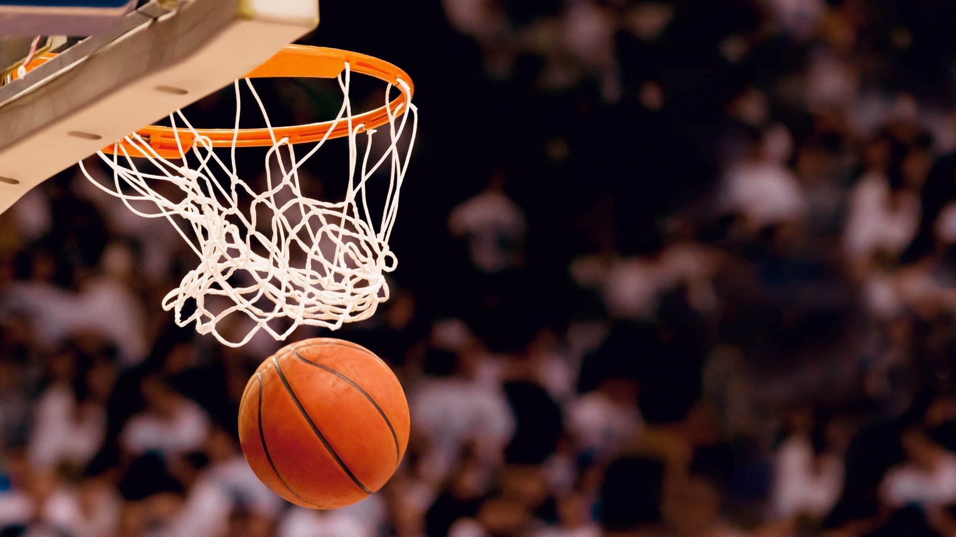 利拉德联手巴特勒，热火成东部新王炸|BET365体育官网